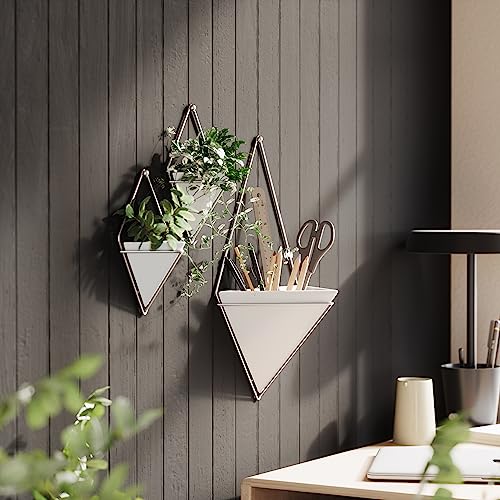 Umbra Trigg Small Wall Display, White-Nickel, Planter Pot, Indoor Outdoor Usage