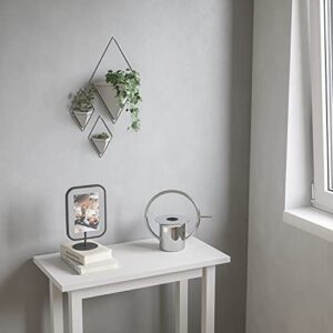 Umbra Trigg Small Wall Display, White-Nickel, Planter Pot, Indoor Outdoor Usage