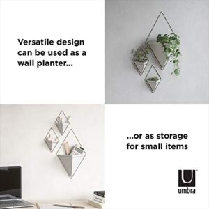 Umbra Trigg Small Wall Display, White-Nickel, Planter Pot, Indoor Outdoor Usage