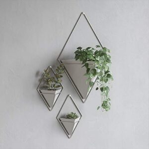 Umbra Trigg Small Wall Display, White-Nickel, Planter Pot, Indoor Outdoor Usage