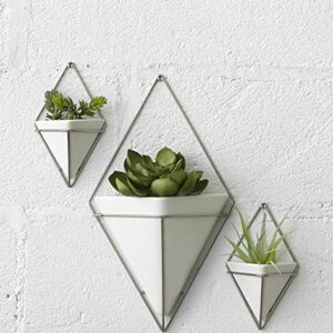 Umbra Trigg Small Wall Display, White-Nickel, Planter Pot, Indoor Outdoor Usage