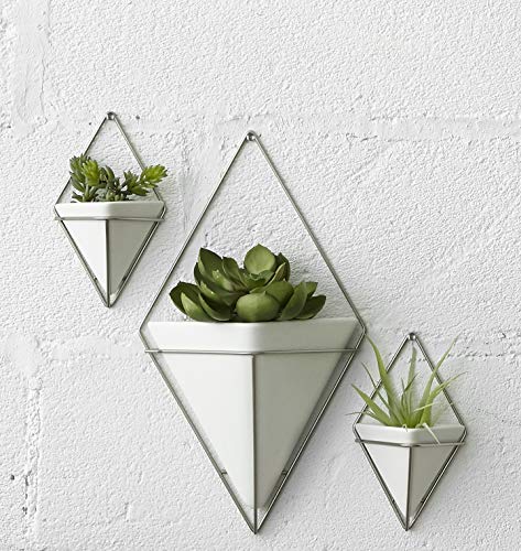 Umbra Trigg Small Wall Display, White-Nickel, Planter Pot, Indoor Outdoor Usage