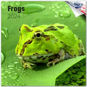 2023 2024 frogs - reptile monthly wall calendar - 12 x 24 open - thick no-bleed paper - giftable - academic teacher's planner calendar organizing & planning