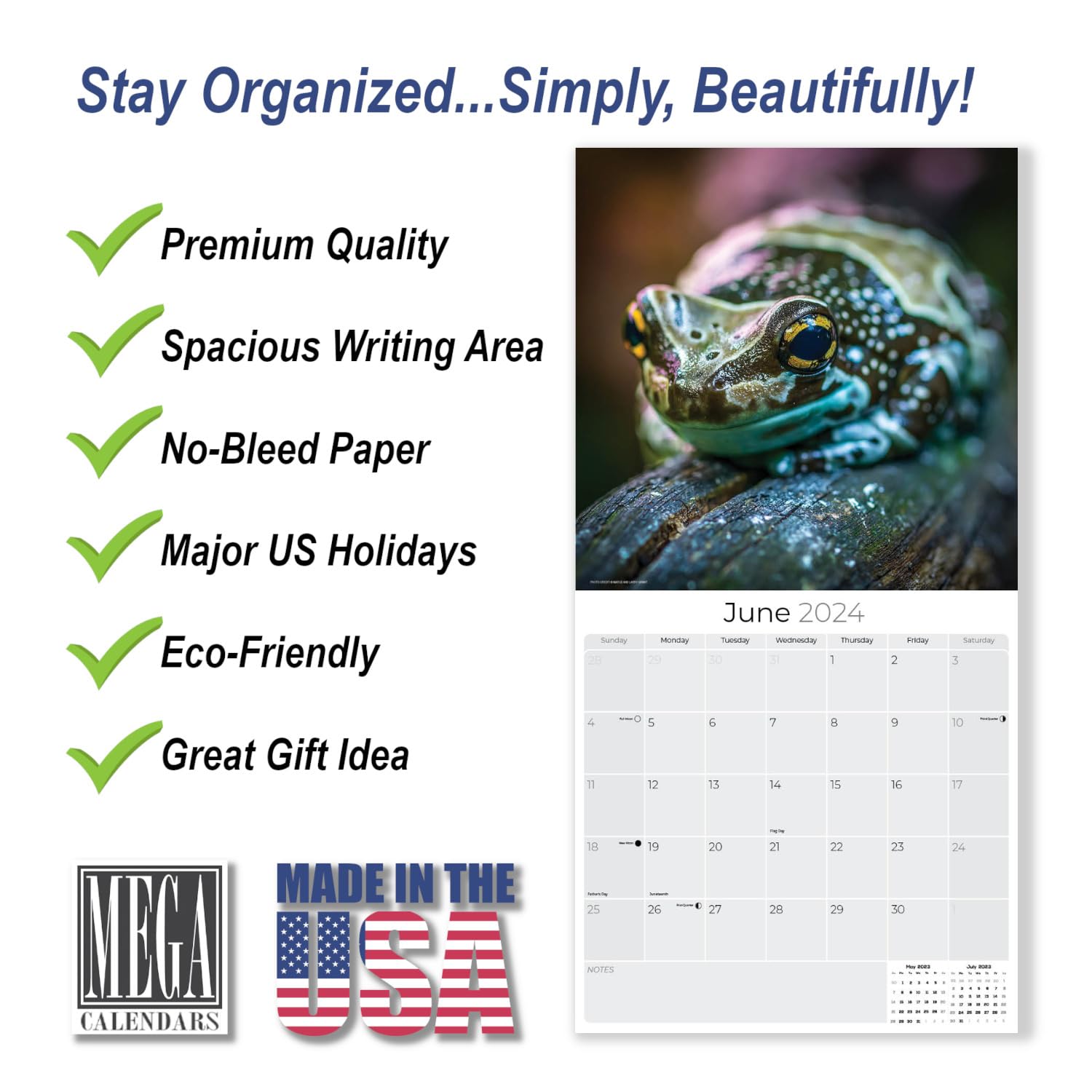 2023 2024 Frogs - Reptile Monthly Wall Calendar - 12 x 24 Open - Thick No-Bleed Paper - Giftable - Academic Teacher's Planner Calendar Organizing & Planning