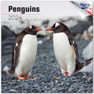 2023 2024 penguin calendar - cute wildlife sealife monthly wall calendar - 12 x 24 open - thick no-bleed paper - giftable - academic teacher's planner calendar organizing & planning