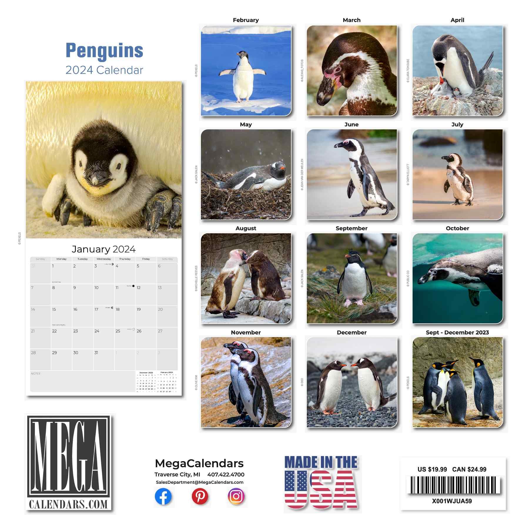 2023 2024 Penguin Calendar - Cute Wildlife Sealife Monthly Wall Calendar - 12 x 24 Open - Thick No-Bleed Paper - Giftable - Academic Teacher's Planner Calendar Organizing & Planning