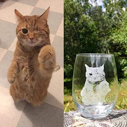 Personalized Pet Engraved Glass, Engraved wine glass, Custom Pet picture, Pet memorial Engraved Glass, Pet picture on glass