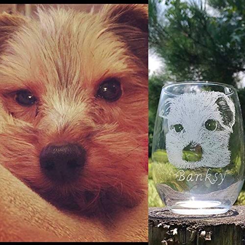 Personalized Pet Engraved Glass, Engraved wine glass, Custom Pet picture, Pet memorial Engraved Glass, Pet picture on glass