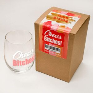 Cheers Funny Cute Wine Glass,Stemless 15oz, Box, Happy Birthday for Women or men, Unique Idea for Her, Mom, Wife, Girlfriend, Sister, Grandmother, Aunt, Friend, BFF, Coworker