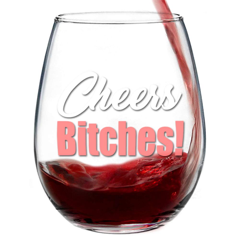 Cheers Funny Cute Wine Glass,Stemless 15oz, Box, Happy Birthday for Women or men, Unique Idea for Her, Mom, Wife, Girlfriend, Sister, Grandmother, Aunt, Friend, BFF, Coworker
