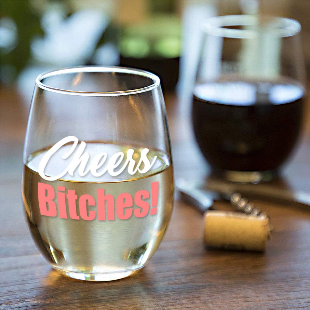 Cheers Funny Cute Wine Glass,Stemless 15oz, Box, Happy Birthday for Women or men, Unique Idea for Her, Mom, Wife, Girlfriend, Sister, Grandmother, Aunt, Friend, BFF, Coworker