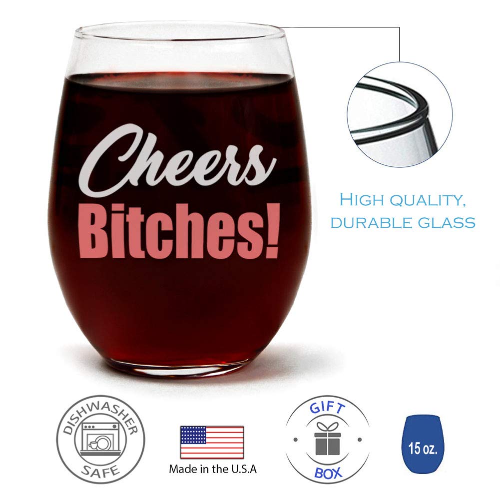 Cheers Funny Cute Wine Glass,Stemless 15oz, Box, Happy Birthday for Women or men, Unique Idea for Her, Mom, Wife, Girlfriend, Sister, Grandmother, Aunt, Friend, BFF, Coworker