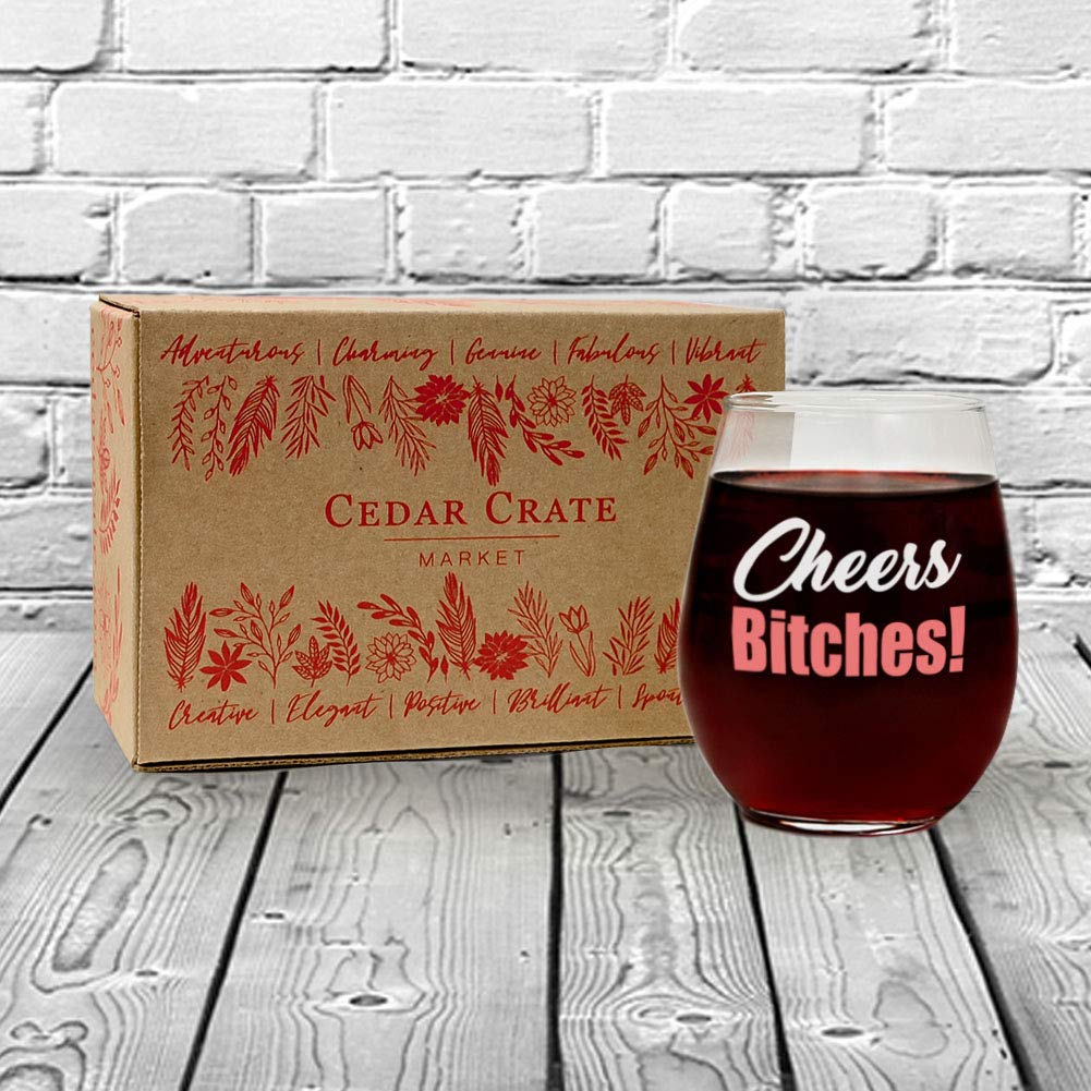 Cheers Funny Cute Wine Glass,Stemless 15oz, Box, Happy Birthday for Women or men, Unique Idea for Her, Mom, Wife, Girlfriend, Sister, Grandmother, Aunt, Friend, BFF, Coworker