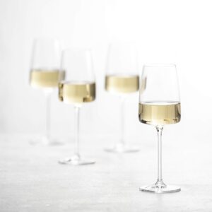 Zwiesel Glas Tritan Sensa Collection, White Wine Glass, 12.3-Ounce, Set of 6