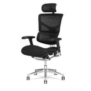 X-Chair X3 Management Office Chair, Black A.T.R. Fabric with Headrest - High End Comfort Chair/Dynamic Variable Lumbar Support/Floating Recline/Highly Adjustable/Durable/Executive Office Desk Seat