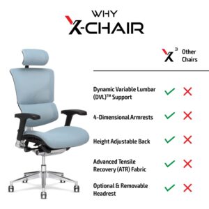 X-Chair X3 Management Office Chair, Black A.T.R. Fabric with Headrest - High End Comfort Chair/Dynamic Variable Lumbar Support/Floating Recline/Highly Adjustable/Durable/Executive Office Desk Seat