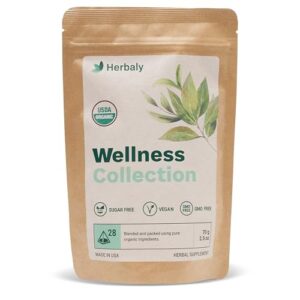 Herbaly Wellness Collection Organic Herbal Ginger Tea, 70 g, 28 Count Bag (Pack of 1)