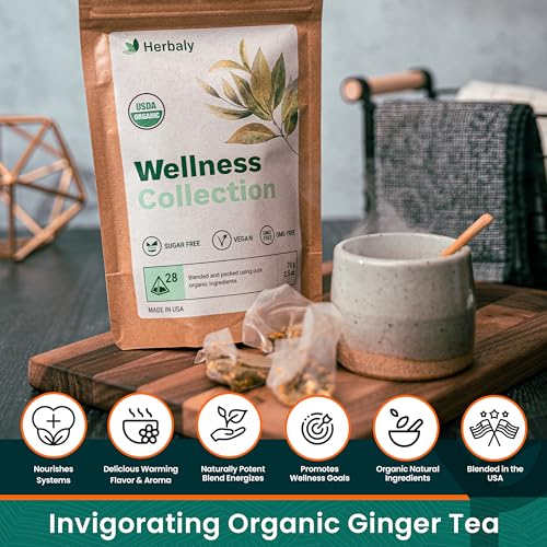 Herbaly Wellness Collection Organic Herbal Ginger Tea, 70 g, 28 Count Bag (Pack of 1)