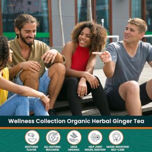 Herbaly Wellness Collection Organic Herbal Ginger Tea, 70 g, 28 Count Bag (Pack of 1)