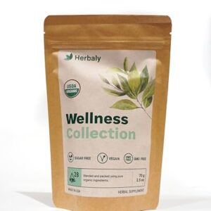 Herbaly Wellness Collection Organic Herbal Ginger Tea, 70 g, 28 Count Bag (Pack of 1)