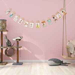 OOTSR 1st Birthday Photo Banner Growth Record 1-12 Month Photo Prop for First Birthday Party Bunting Decor