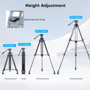 SIRUI AM-25S Video Tripod, 74.8" Professional Heavy Duty Tripod with Adjustable Damping Fluid Head for DSLR, Camcorder, Cameras, 360° Pan & +90°/-75° Tilt, Quick Release Plate, Max Load 22.0lb