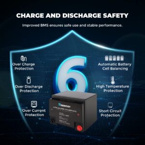 Renogy Lifepo4 Lithium-Iron Phosphate Battery 12 Volt 50AH Built-in BMS LFP Deep Cycle Battery for RV, Solar, Marine, and Off-Grid Applications