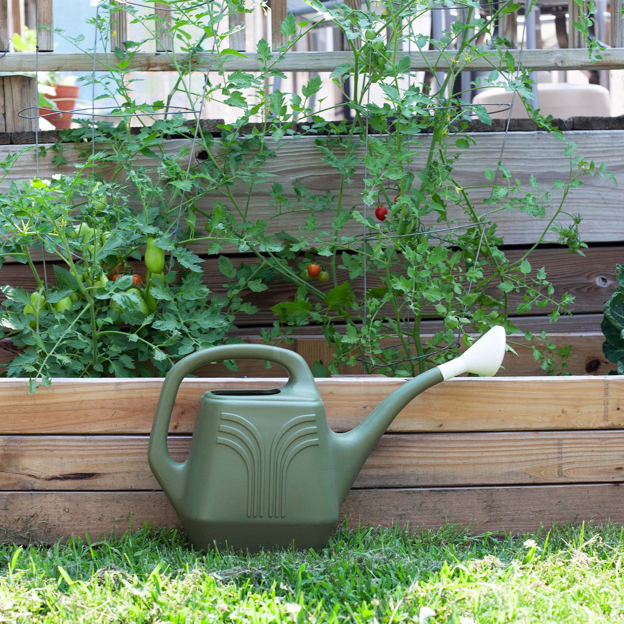 Bloem Promo Watering Can: 2 Gallon Capacity - Living Green - Durable Resin, Removable Nozzle Spout, Two Handles, Wide Mouth, for Indoor and Outdoor Use, Gardening