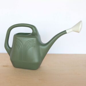 Bloem Promo Watering Can: 2 Gallon Capacity - Living Green - Durable Resin, Removable Nozzle Spout, Two Handles, Wide Mouth, for Indoor and Outdoor Use, Gardening