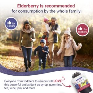 Dried Elderberries - 1lb Bulk - Hand-Sorted, Wildcrafted, Natural, Non-GMO, Whole European Immune System Support For Black Elderberry Syrup, Gummies, Jelly, Tea, Wine, Raw Sambucus, One Pound