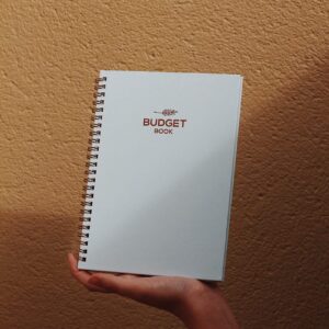 Budget Planner and Monthly Bill Organizer - Financial Planner –12-Month Budget Organizer, Budget Book Planner - Income and Debt Tracker Planner, Business Expense Tracker Notebook and Bill Planner