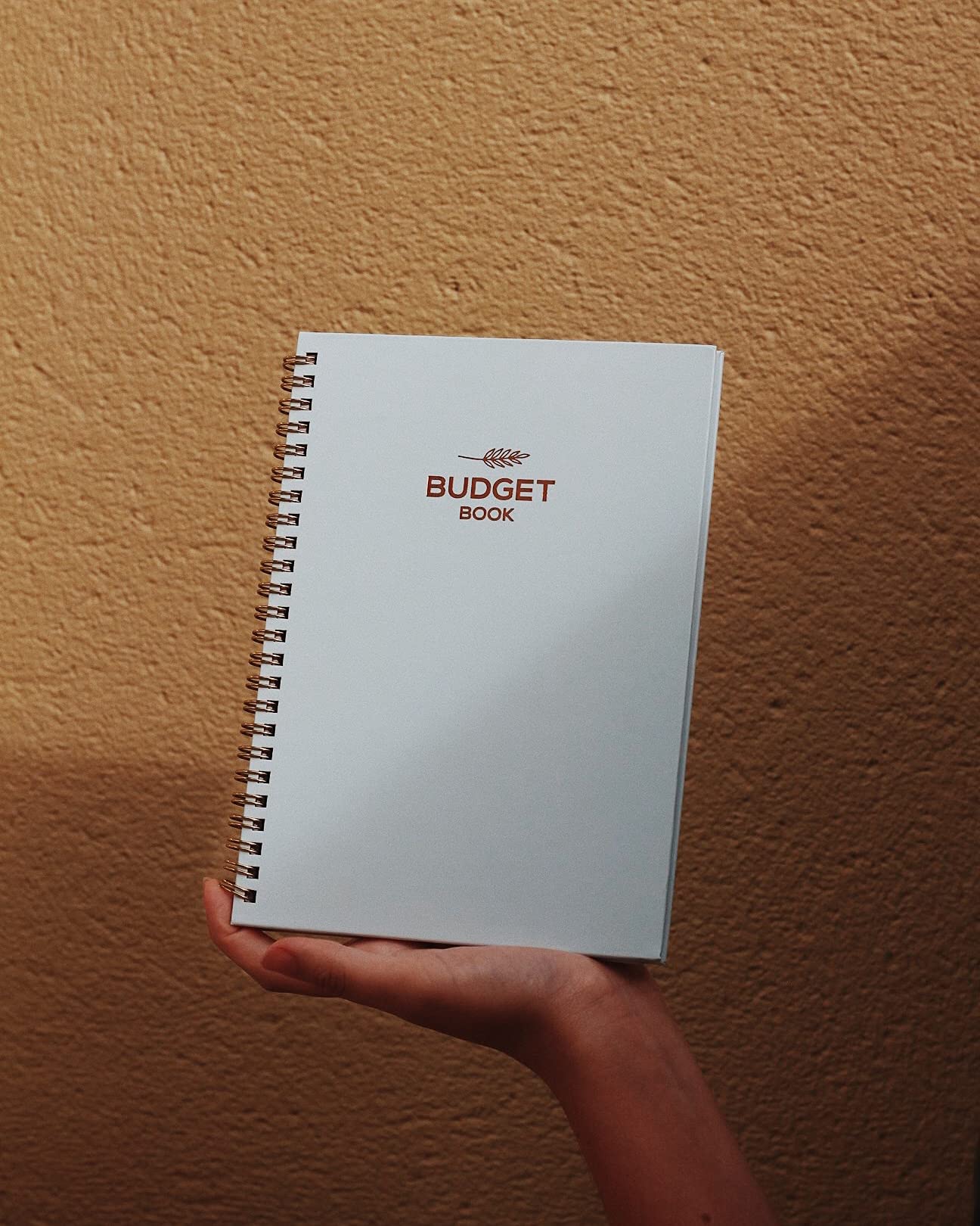 Budget Planner and Monthly Bill Organizer - Financial Planner –12-Month Budget Organizer, Budget Book Planner - Income and Debt Tracker Planner, Business Expense Tracker Notebook and Bill Planner