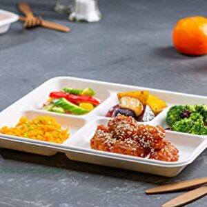 100% Compostable, 5 Compartment, Disposable Paper Plates [125-Pack] - {PFAS Free} - {BPA Certified} - [10 Inch] Heavy Duty Biodegradable Bagasse Sectional Lunch Trays + Dividers - Divided Platter Tray