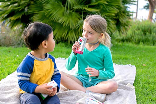 Hint Kids Water Variety Pack of 32, 6.75 Ounce 8 Boxes, Each of: Cherry, Watermelon, Apple, & Blackberry, Zero Sugar, Zero Sweeteners, Zero Preservatives, Zero Artificial Flavors