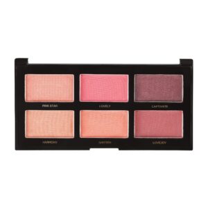 Profusion Cosmetics Mini Artistry On-The-Go Palette - Blush II