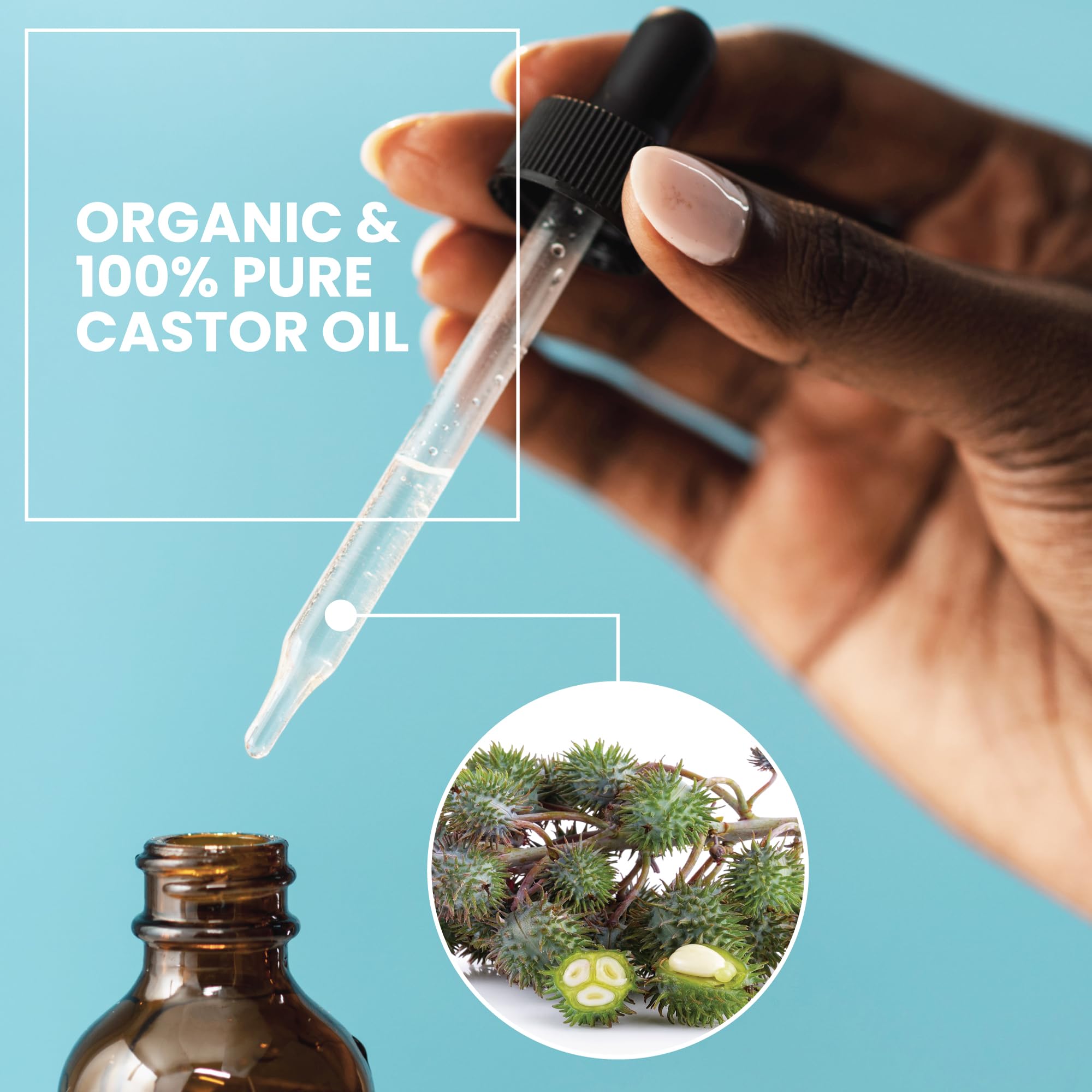 Eva Naturals Organic Castor Oil (2oz) - Promotes Hair, Eyebrow and Lash Growth - Diminishes Wrinkles and Signs of Aging - Organic Castor Oil for Hair Growth Eyelashes - Hair Growth Oil 100% Pure