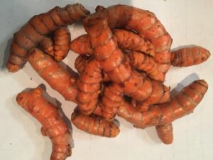 fresh organic turmeric root - 1 lb whole raw root by fijian spice company