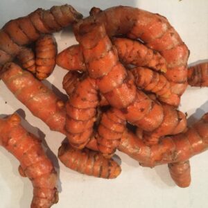 Fresh Organic Turmeric Root - 1 Lb Whole Raw Root by Fijian Spice Company