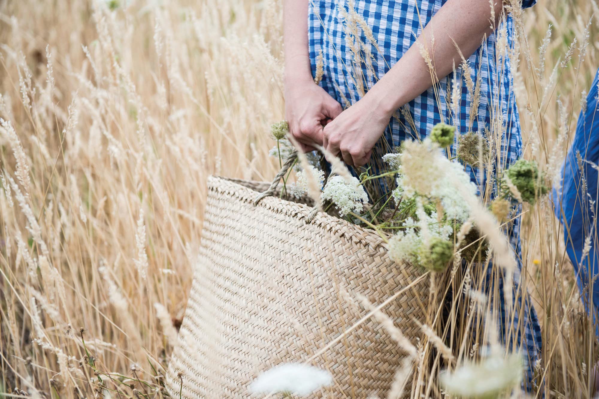 Creative Co-Op Beige Woven Seagrass Basket with Handles (Set of 2 Sizes)