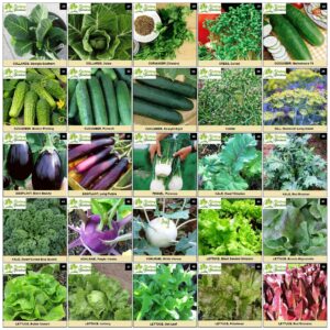 Garden Seeds Vegetable Variety Pack for Planting - Grow 125 Varieties of Heirloom Non GMO Quick Sprouting Veggies - Premium ​Seed Vault by Victory Gardens