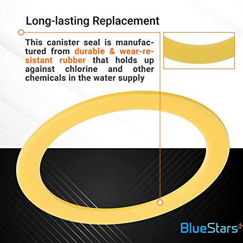BlueStars 2 Packs K-GP1059291 Canister Flush Valve Seal Replacement Part - Exact Fit for Kohler Toilets - Replaces 2475620 GP1059291 1049291 - Long-Lasting Rubber - Improves The lifecycle by 50%