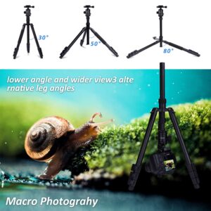 YoTilon Tripod for Camera, 76” Aluminum DSLR Camera Tripod Monopod 360 Degree Ball Head with 1/4 Screw Fast Quick Release Plates for Canon Nikon Sony Samsung Olympus Panasonic & Pentax Travel Work