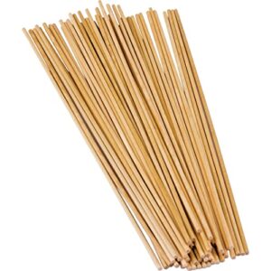 stem basics: 1/8" wood dowels - 100 count