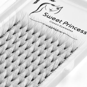 12rows,120pcs 10d premade volume fans eye lashes extensions thickness 0.07mm d curl black soft individual false eyelashes makeup fake lashes cluster 8-18mm to choose (12mm)