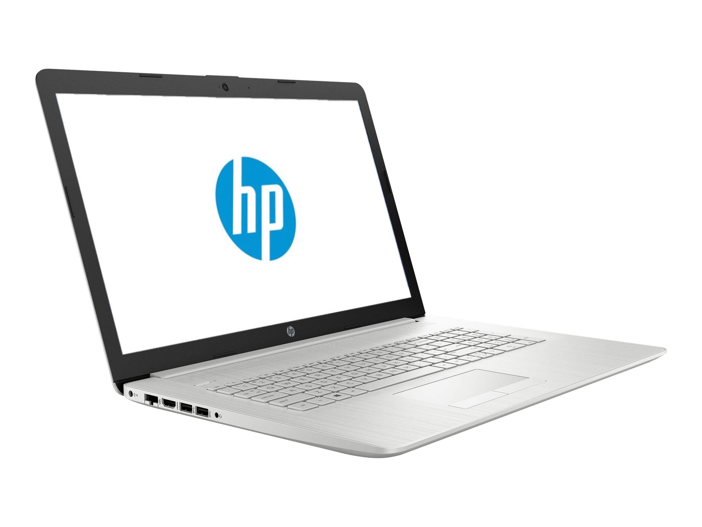 HP 17 Business Laptop - Linux Mint Cinnamon - Intel Quad-Core i5-10210U, 16GB RAM, 1TB SSD, 17.3" Inch HD+ (1600x900) Display, SD Card Reader