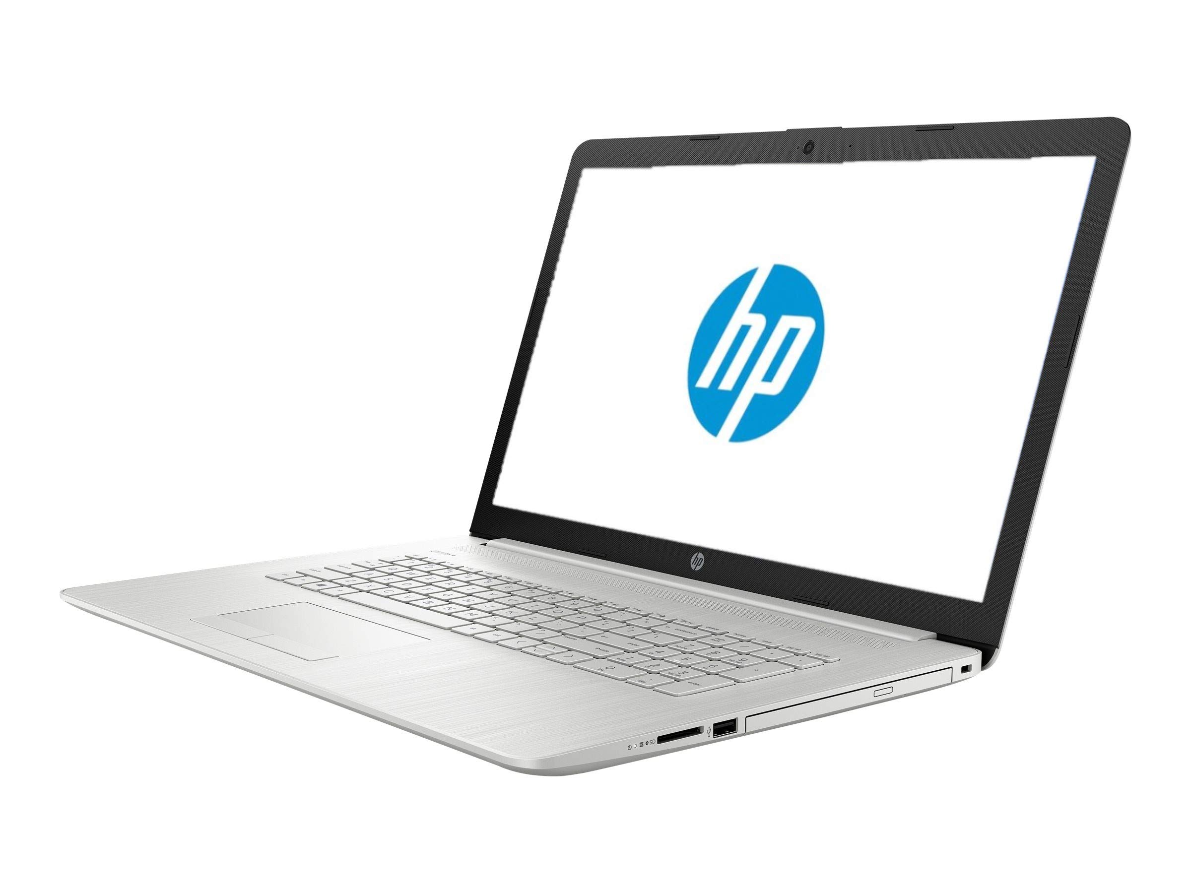 HP 17 Business Laptop - Linux Mint Cinnamon - Intel Quad-Core i5-10210U, 16GB RAM, 1TB SSD, 17.3" Inch HD+ (1600x900) Display, SD Card Reader