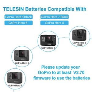 TELESIN 2-Pack Batteries for Hero 8/7/6/5, 3-Channel USB Battery Quick Charger with Type-C Cord Compatible with GoPro Hero 8 Black, Hero 7/6/5 Black