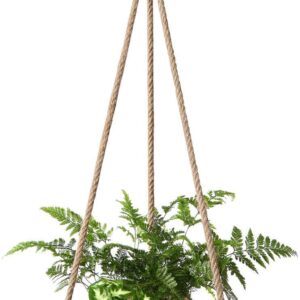 Dahey Hanging Plant Shelf Round Wood Rope Hanging Floating Shelf Vintage Home Decor Display Planter Rack for Living Room Bedroom Kitchen, Dark Brown