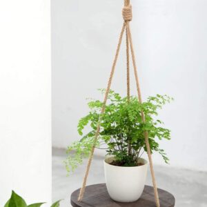 Dahey Hanging Plant Shelf Round Wood Rope Hanging Floating Shelf Vintage Home Decor Display Planter Rack for Living Room Bedroom Kitchen, Dark Brown