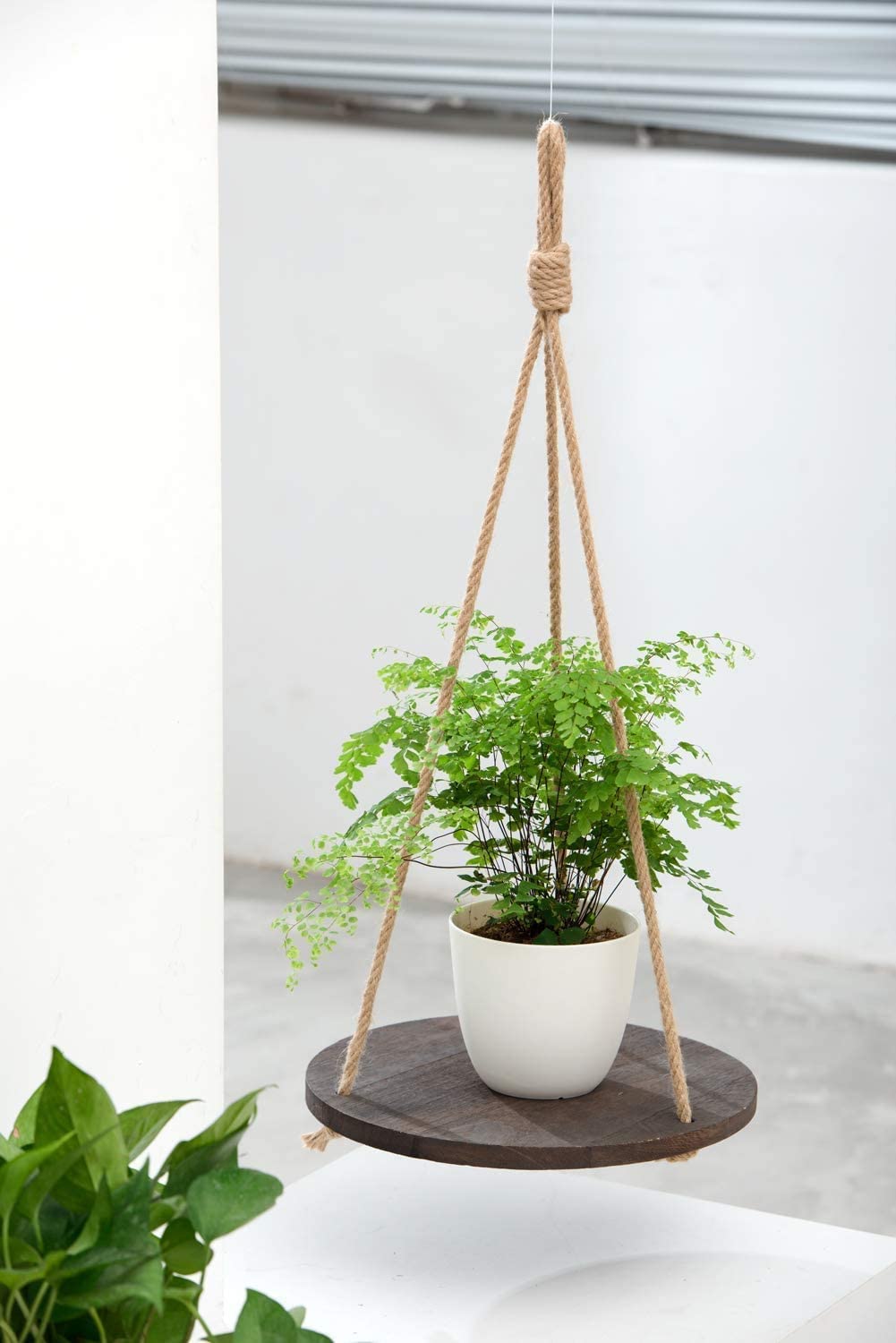 Dahey Hanging Plant Shelf Round Wood Rope Hanging Floating Shelf Vintage Home Decor Display Planter Rack for Living Room Bedroom Kitchen, Dark Brown